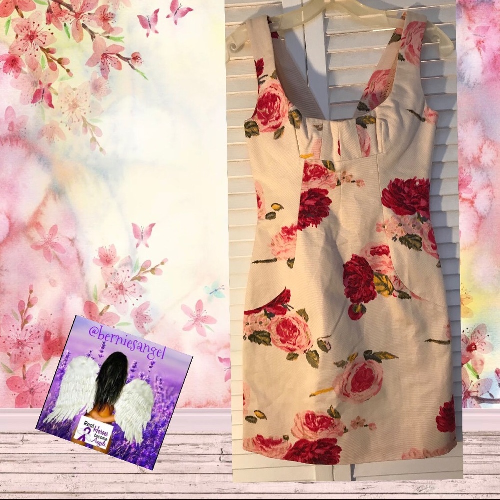Dolce & Gabbana Sleeveless Rose  Print Dress 40